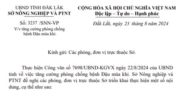 Công văn: Về việc tăng cường phòng chống bệnh Đậu mùa khỉ (212)