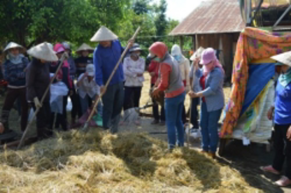 Khuyến nông Đắk Lắk thực hiện nhiệm vụ  đào tạo nghề nông nghiệp cho lao động nông thôn sau bốn năm nhìn lại