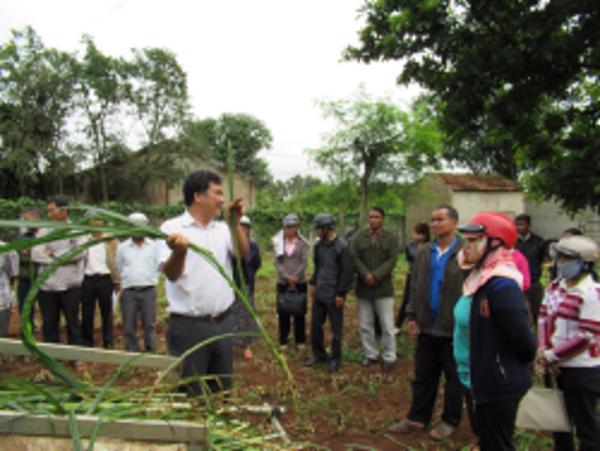 Khuyến nông Đắk Lắk với các hoạt động hỗ trợ nông dân phát triển sản xuất năm 2016