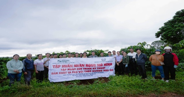 Huyện Krông Năng: Tập huấn nhân rộng mô hình sản xuất cà phê vối theo hướng hữu cơ năm 2023