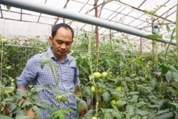 Lâm Đồng coi trọng ứng dụng, phát triển nông nghiệp công nghệ cao
