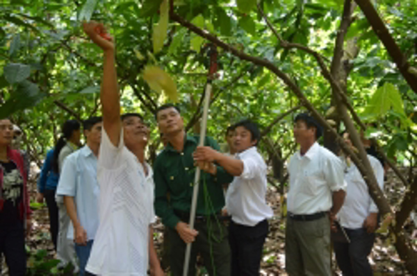 Tập huấn cộng tác viên khuyến nông  gắn với xây dựng nông thôn mới