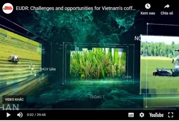  Quy định chống phá rừng châu Âu: Thách thức và cơ hội của cà phê Việt Nam