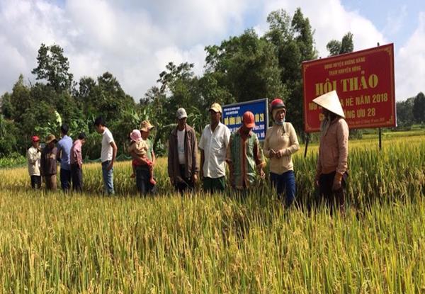 Huyện Krông Năng tổ chức tổng kết công tác khuyến nông, chăn nuôi thú ý và trồng trọt bảo vệ thực vật năm 2018 