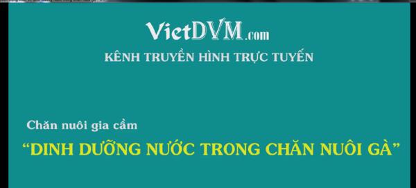 4 lưu ý quan trọng về dinh dưỡng nước trong chăn nuôi gà