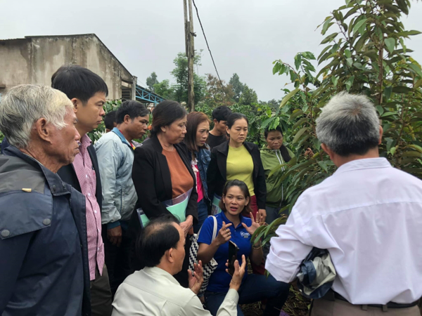 TẬP HUẤN NGOÀI MÔ HÌNH DỰ ÁN "XÂY DỰNG VÀ PHÁT TRIỂN MÔ HÌNH TRỒNG XEN MỘT SỐ LOÀI CÂY ĂN QUẢ TRONG VƯỜN CÀ PHÊ VÙNG TÂY NGUYÊN"