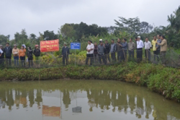 Trạm Khuyến nông huyện Krông Năng tổ chức hội thảo đầu bờ mô hình nuôi cá rô đồng