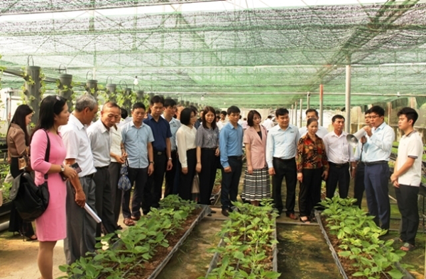 Bắc Ninh: Phát triển nông nghiệp gắn với du lịch sinh thái