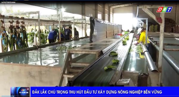 Đắk Lắk: Chú trọng thu hút đầu tư xây dựng nông nghiệp bền vững