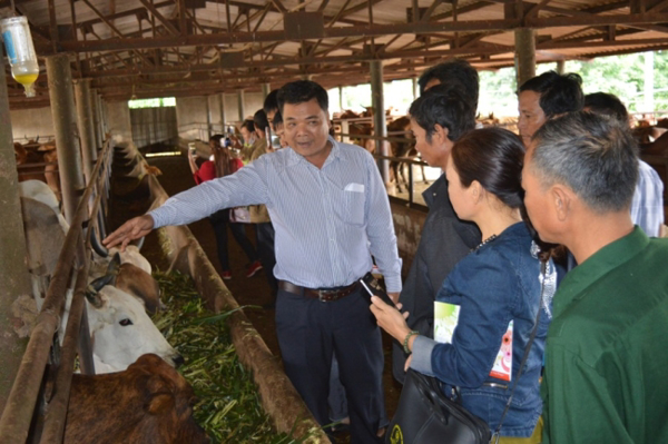  Đào tạo ToT kỹ thuật chăn nuôi bò sinh sản năm 2018