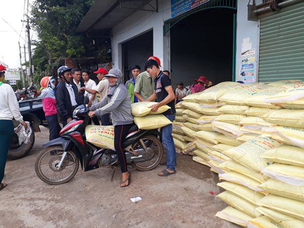 Đắk Lắk: Dự án cải tạo chất lượng đàn bò địa phương bằng kỹ thuật thụ tinh nhân tạo đạt năng suất, chất lượng và hiệu quả cao