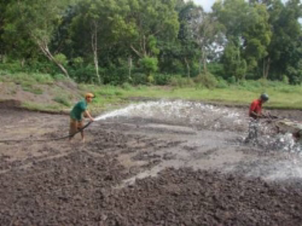 Khuyến nông viên cơ sở phát huy vai trò  trong chương trình xây dựng nông thôn mới