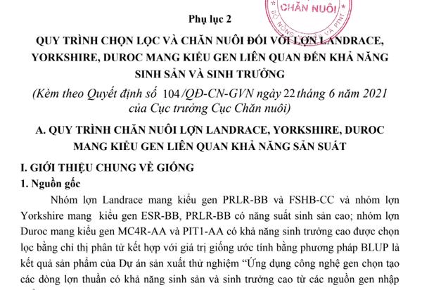 QUY TRÌNH CHỌN LỌC VÀ CHĂN NUÔI ĐỐI VỚI LỢN LANDRACE, YORKSHIRE, DUROC MANG KIỂU GEN LIÊN QUAN ĐẾN KHẢ NĂNG  SINH SẢN VÀ SINH TRƯỞNG