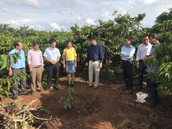 Đoàn công tác Trung tâm Khuyến nông Quốc gia đến thăm và  làm việc tại Trung tâm Khuyến nông tỉnh Đắk Lắk