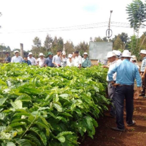 KRÔNG BÔNG TẬP HUẤN NÂNG CAO NĂNG LỰC KHUYẾN NÔNG CƠ SỞ