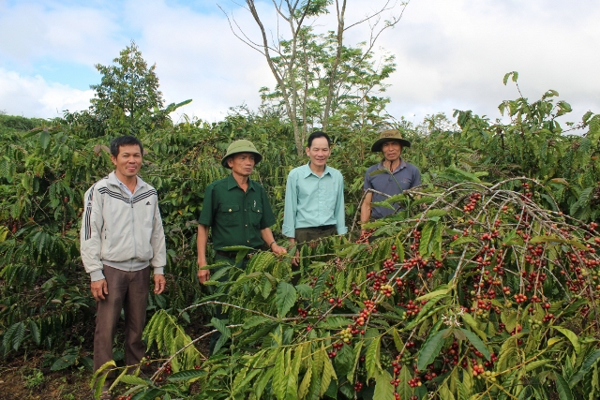 Trưởng thôn gương mẫu, Cộng tác viên khuyến nông nhiệt tình, làm kinh tế giỏi