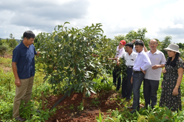 Trung tâm Khuyến nông – Khuyến ngư Quảng Bình đến tham quan học tập tại Đăk Lăk