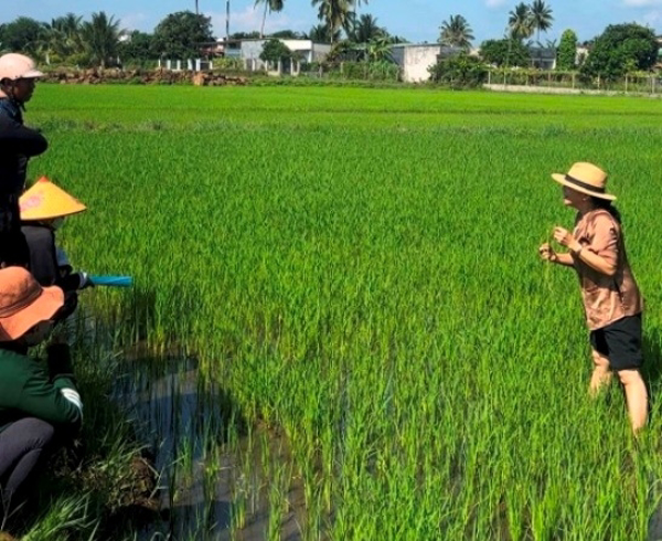 Đắk Lắk: Cần cẩn trọng một số sâu bệnh hại chính vụ hè thu năm 2023