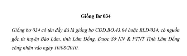 Giống Bơ 034