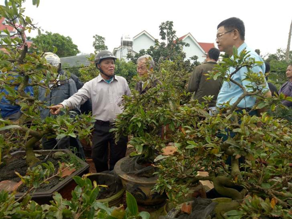 Hội sinh vật cảnh xã Hòa Thắng góp phần xây dựng  nông thôn mới của địa phương