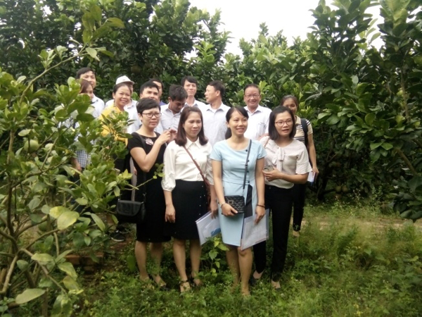 Trung tâm Khuyến nông tỉnh Hà Nam và tỉnh Ninh Bình Tham quan mô hình cây ăn quả tại Buôn Ma Thuột