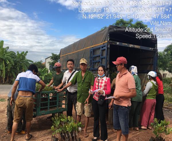 Đưa giống điều ghép cao sản đến với bà con nông dân tại huyện Buôn Đôn - tỉnh Đắk Lắk