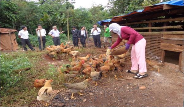 Đắk Lắk: Đưa Nghị quyết của Đảng vào cuộc sống - Hỗ trợ đồng bào DTTS thay đổi tập quán sản xuất  lạc hậu, phát triển kinh tế