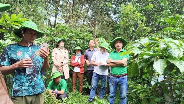 Hiệu quả từ mô hình sản xuất cà phê cảnh quan và giảm phát thải carbon ở Lâm Đồng