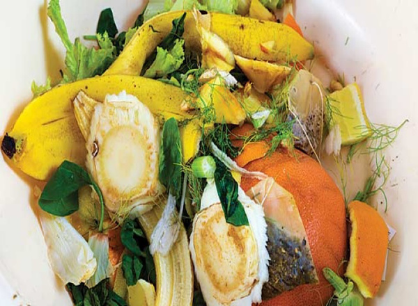 Tự ủ phân hữu cơ từ nguyên liệu là những phế phẩm trong sinh hoạt hằng ngày