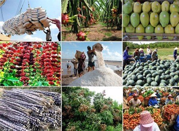 Quy định mới về hoạt động tư vấn và dịch vụ khuyến nông