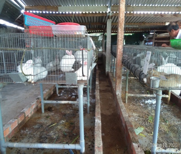 Kinh nghiệm của một phụ nữ sản xuất nông nghiệp giỏi