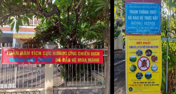 Kết quả triển khai “Tháng diệt chuột” năm 2024