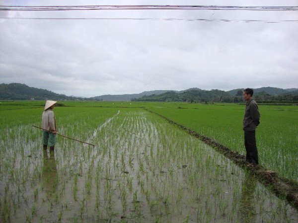 Vui Xuân nhưng không quên thăm đồng
