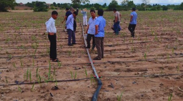 Nông dân Phú Yên tham gia chuyến học tập ngoài tỉnh năm 2025 tại tỉnh Gia Lai