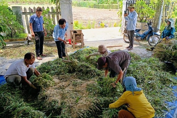 Hiệu quả từ một mô hình Khuyến nông