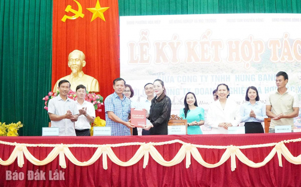 Phát triển mô hình liên kết sản xuất và tiêu thụ cá rô phi đơn tính