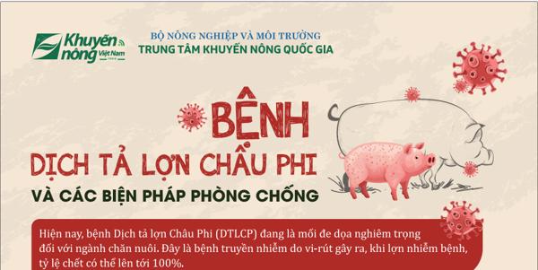 Bệnh dịch tả lợn Châu phi và các biện pháp phòng chống