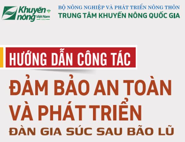 Hướng dẫn công tác đảm bảo an toàn và phát triển đàn gia súc sau bão lũ