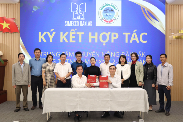 Trung tâm Khuyến nông Đắk Lắk – Simexco liên kết chiến lược, phát triển  vùng nguyên liệu cà phê bền vững