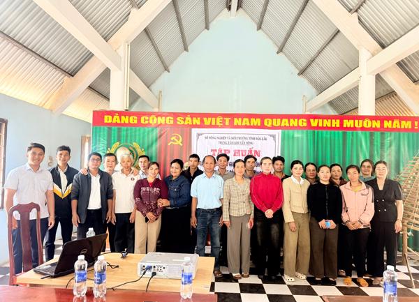 Tập huấn kỹ thuật chăn nuôi bò sinh sản và chăm sóc cà phê tái canh tại xã Ea Tul