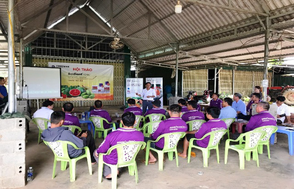 Huyện Lắk: Tổ chức hội thảo đánh giá mô hình trình diễn “Thuốc bảo vệ thực vật Radiant 60sc + Zorvec 330SE trên cây Khoai lang” (299)