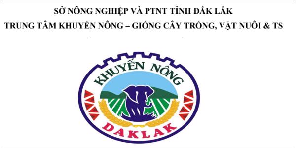 ĐỀ TÀI: SO SÁNH 15 TỔ HỢP NGÔ LAI CÓ TRIỂN VỌNG TẠI TRUNG TÂM KHUYẾN NÔNG – GIỐNG CÂY TRỒNG, VẬT  NUÔI VÀ THỦY SẢN TỈNH ĐẮK LẮK