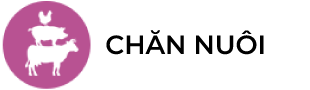 Chăn nuôi